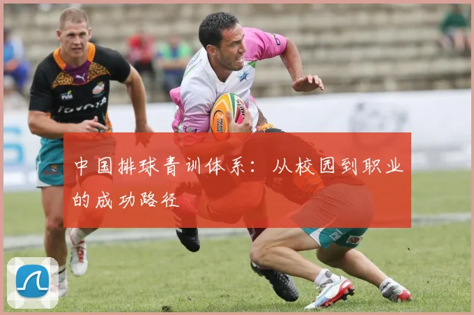 中国排球青训体系：从校园到职业的成功路径